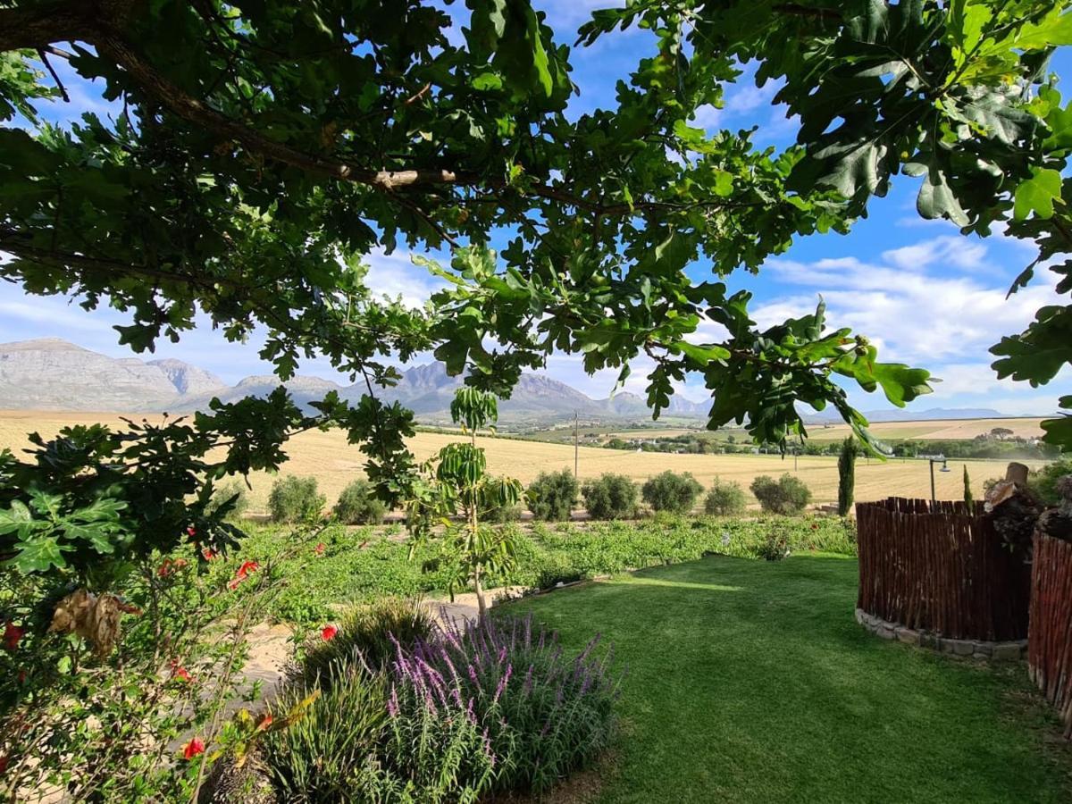 Vineyard Cottage At Bosman Wines Wellington Exterior foto