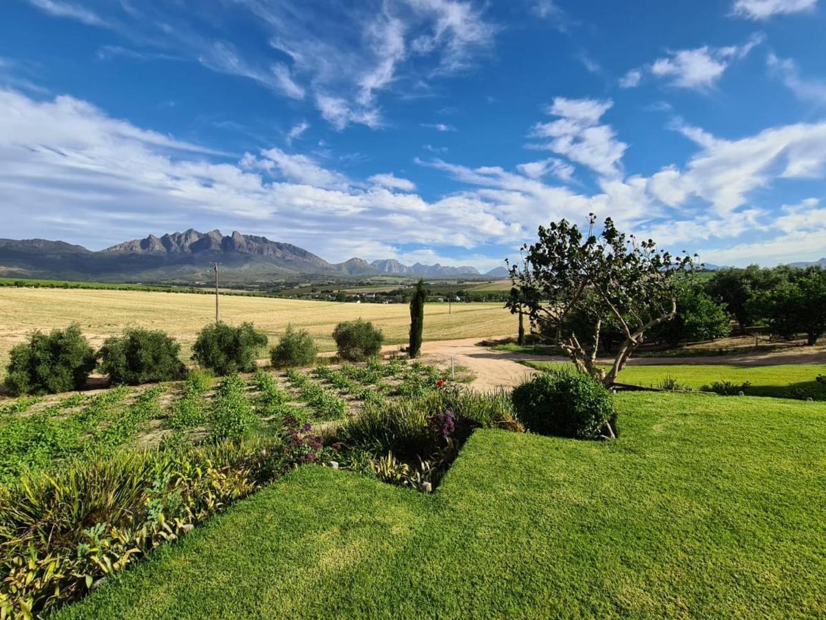 Vineyard Cottage At Bosman Wines Wellington Exterior foto