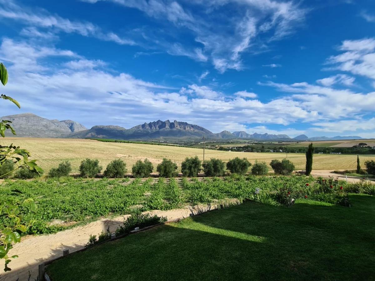 Vineyard Cottage At Bosman Wines Wellington Exterior foto