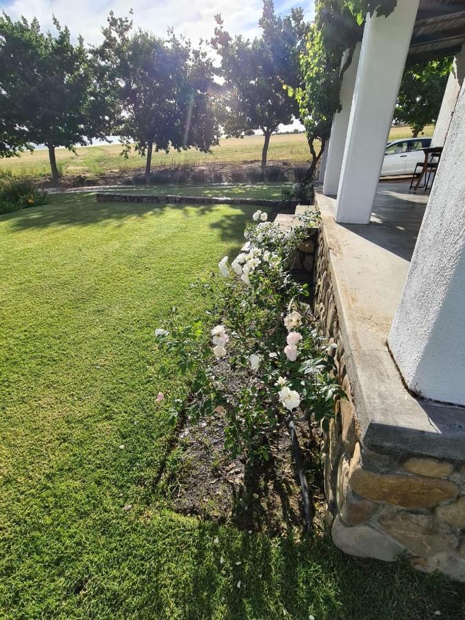 Vineyard Cottage At Bosman Wines Wellington Exterior foto